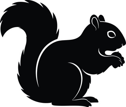 black squirrel eating nut clip art preview