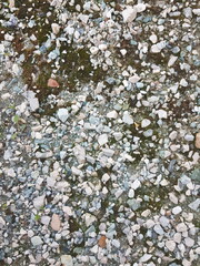 Gravel on the ground as a background. Texture of stone.