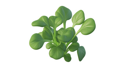 Close up View of Fresh Green Leaves Growing in Natural Garden Setting