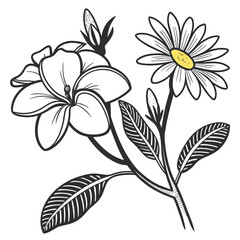 gardenia daisy hardy with leaves 