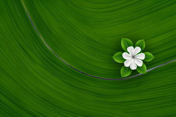 Elegant white flower with vibrant green leaves on a textured green surface, perfect for design