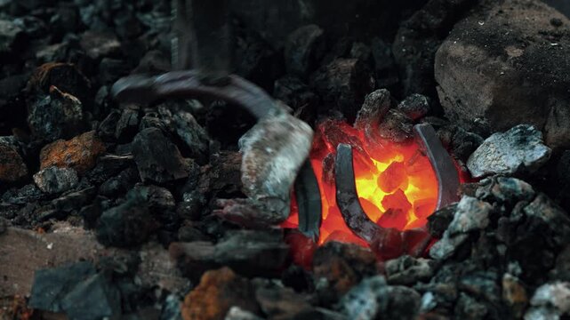 a horseshoe is heated in the fire of a blacksmith's forge