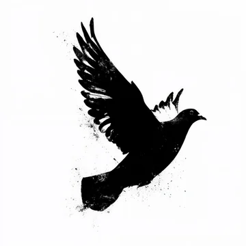Splashing bird silhouette on white background