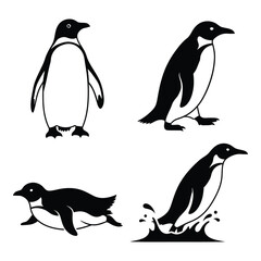 Four diverse penguin poses for your designs and graphics silhouette © BIPUL