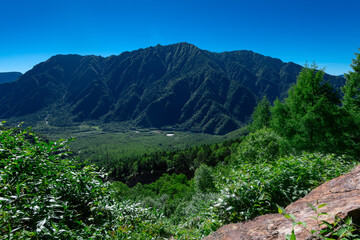 Fototapeta premium 上高地大正池を望む