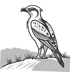 Stylized black and white illustration of a majestic osprey bird perched on a rocky outcrop with grass
