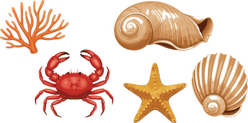 Cartoon sea animals illustration, red crab, starfish, seashells, coral reef, marine life drawing, underwater ocean elements, coastal beach decorative design