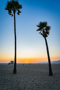 USA, California, Venice Beach, Muscle Beach, Venice skatepark - Sunset and evening on the beach, presenting the most iconic views and places around.