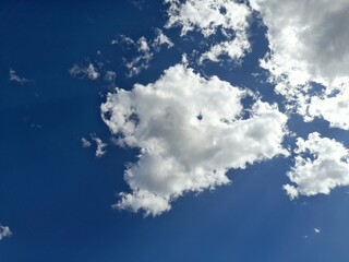 cumulus clouds in the sky.