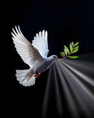 White dove of peace carrying olive branch against a dark backdrop with bright light rays