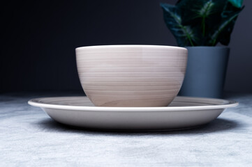 Minimalist Ceramic Bowl and Plate with Plant