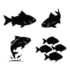 Silhouettes of various fish species showcasing aquatic life and marine ecosystems silhouette