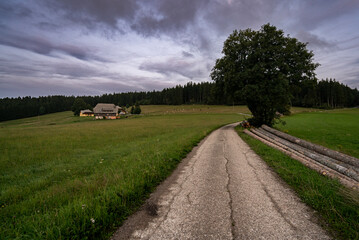 rural landscape with road