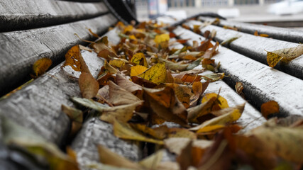 Fallen autumn leaves on a white wooden park bench on a cloudy autumn day. A wooden bench outdoors on an autumn day covered with fallen leaves. Blurred background.