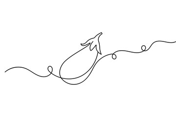 Obraz premium Eggplant continuous one line drawing and minimalist style isolate outline vector illustration design 