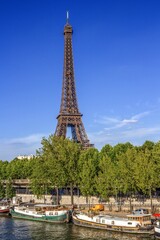 paris, frankreich - flussk&auml;hne am seineufer mit eiffelturm