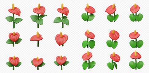 Collection of stylized 3D rendered Anthurium flowers in various poses and orientations on a transparent background.