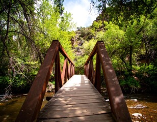Wooden bridge over a stream in a lush forest