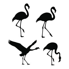 Four elegant flamingo silhouettes standing gracefully in various poses and angles silhouette