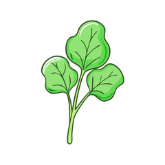 Illustration of a leafy green vegetable with a vibrant and healthy appearance