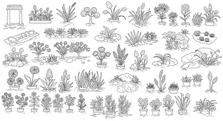 Hand-drawn botanical garden elements: diverse plants and trees collection