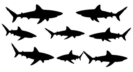 Shark silhouettes collection on white background for marine themed designs