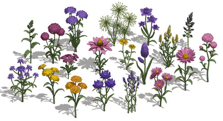 Diverse collection of vibrant wildflowers and herbs on white background