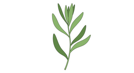Obraz premium Minimalist green botanical leaf artwork for nature lovers