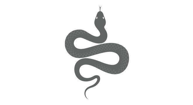Minimalist snake silhouette with detailed pattern on white background