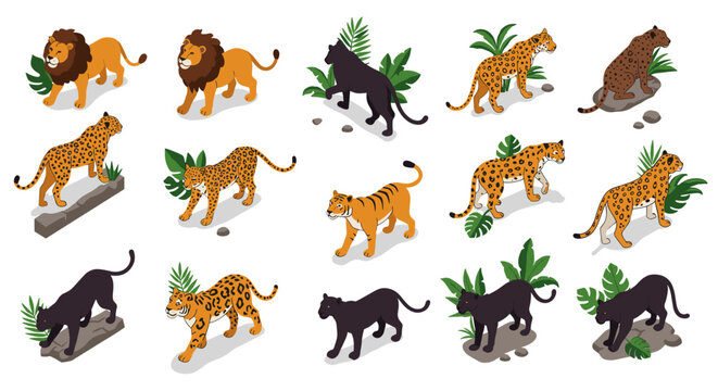 Wild cats collection: isometric design of lions, tigers, leopards, and panthers with foliage