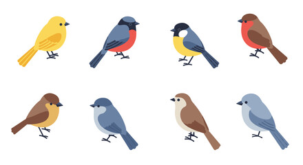 Colorful flat style birds collection: diverse bird illustrations for nature and wildlife themes