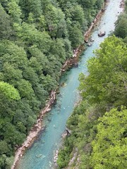  turquoise river in forest canyon, Durmitor National park, Tara river
