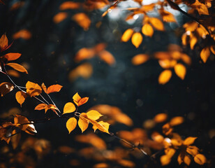 Autumn leaves on the tree