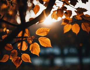 Autumn leaves on the tree