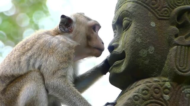 A monkey gently touching the face of a weathered stone statue, set against a blurred backdrop of verdant trees