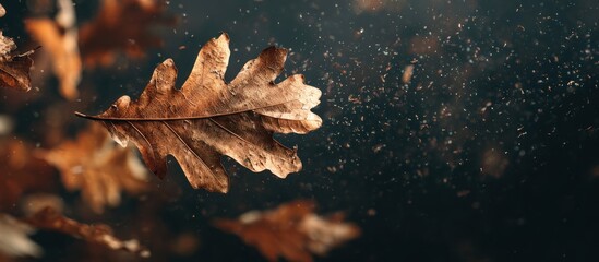 Autumn leaves fall in dark air, brown leaves in motion, magical dust