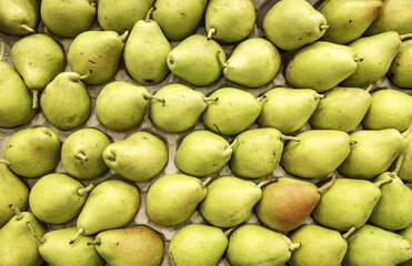 Pears in a fruit shop