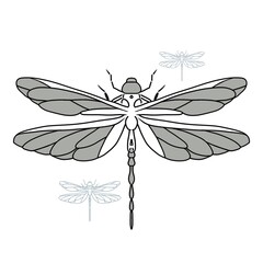 Black and white dragonfly hand drawing on a white paper tecture background. Illustration for tattoo, postcard, poster or print on demand.