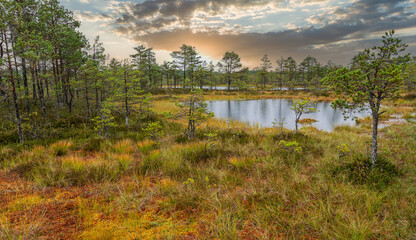 Der Lahemaa Nationalpark in Estland im Frühherbst; Sonnenuntergang; in einem kleinen Moorsee...