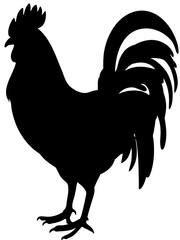 rooster isolated on white background vector 