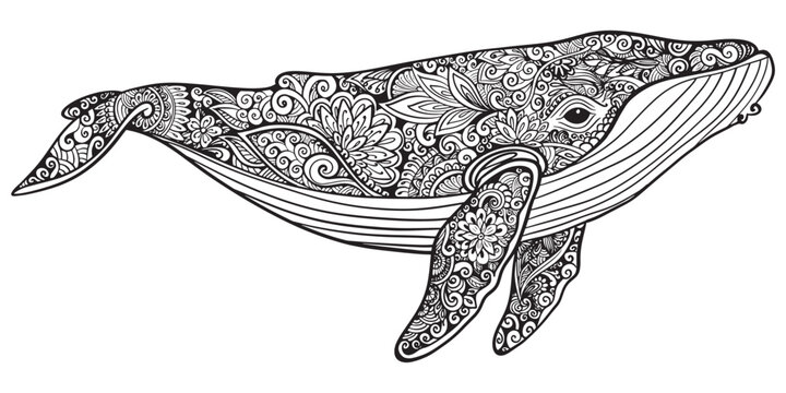 Black and White Whale Illustration for Coloring Book