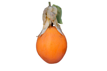 Isolated Passion fruit (passiflora caerulea/Passion flower)