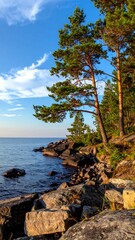 Fototapeta premium Lakeside pines at sunset