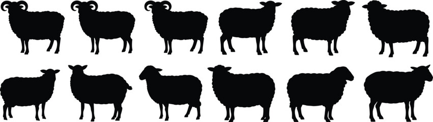 Sheep silhouettes, ram and ewe icons, farm animal illustration, livestock vector design, black outline, agriculture art, wool sheep, rural branding