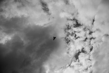 black and white clouds