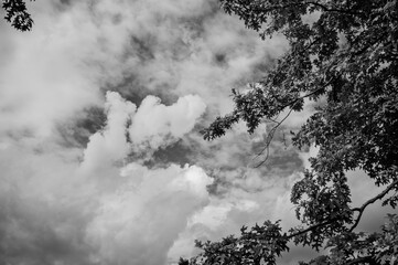 black and white clouds