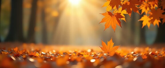 A blurry image of a forest with leaves on the ground.