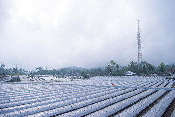 Agricultural land featuring evenly arranged soil beds wrapped in plastic mulch, ready for planting crops while conserving soil moisture and controlling weeds.