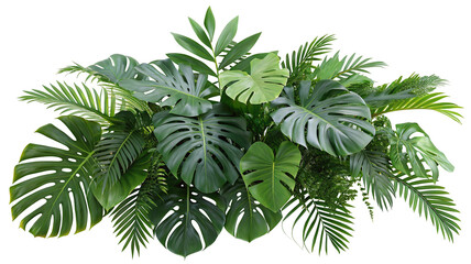 Tropical green monstera foliage wall art with lush jungle leaves for home and garden decor ideas