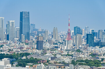 Obraz premium 日本の首都東京の都市風景